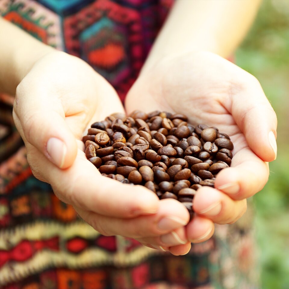 Café molido para cafetera orgánico